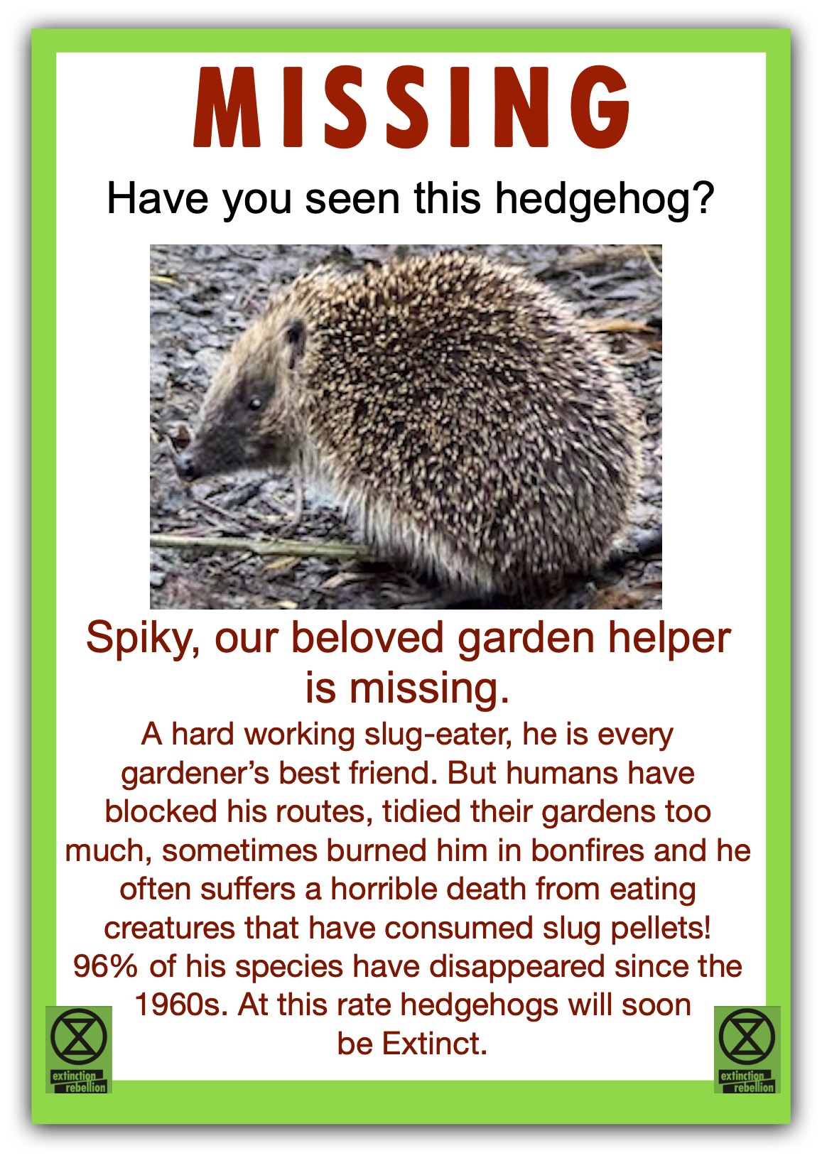 Hedgehog-poster-English-jpeg.jpg