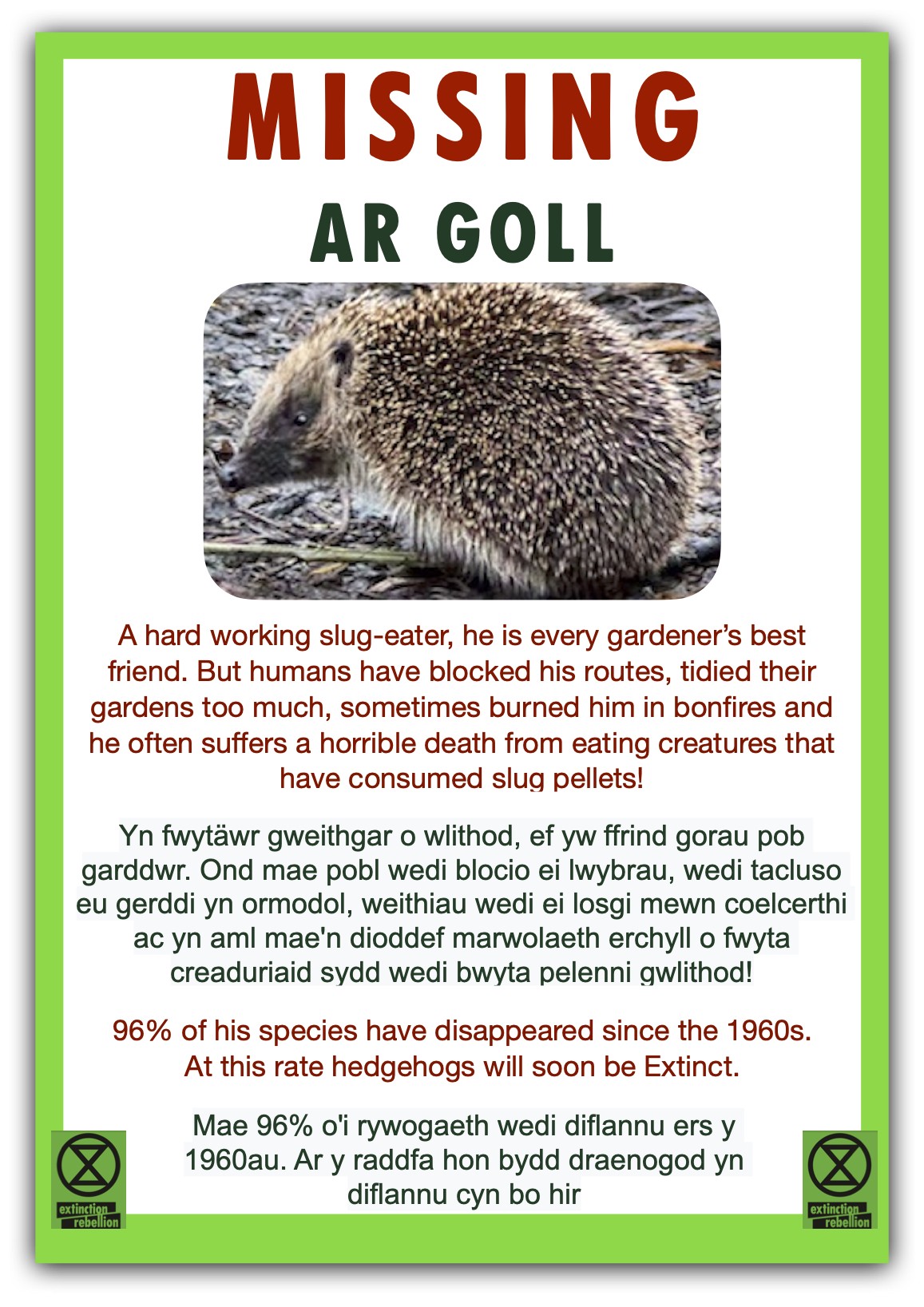 Hedgehog-poster-bi-lingual-jpeg.jpg