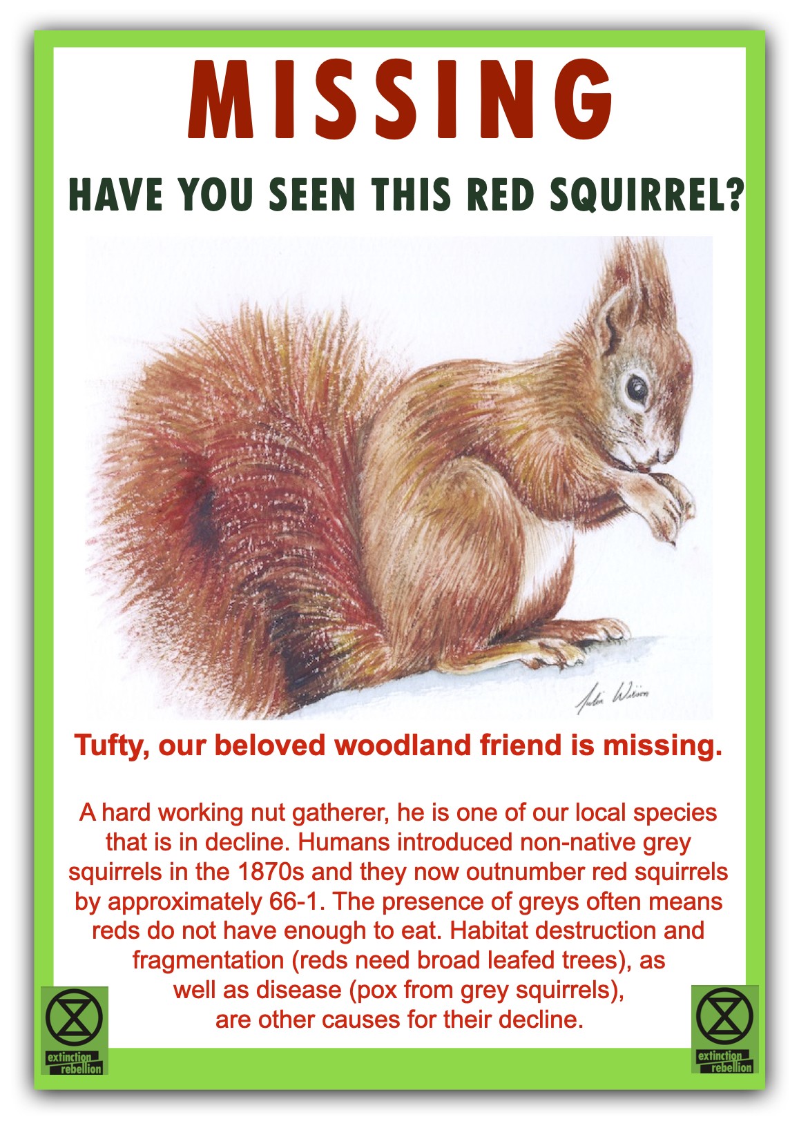 Missing--Red-Squrrel-English-jpeg.jpg