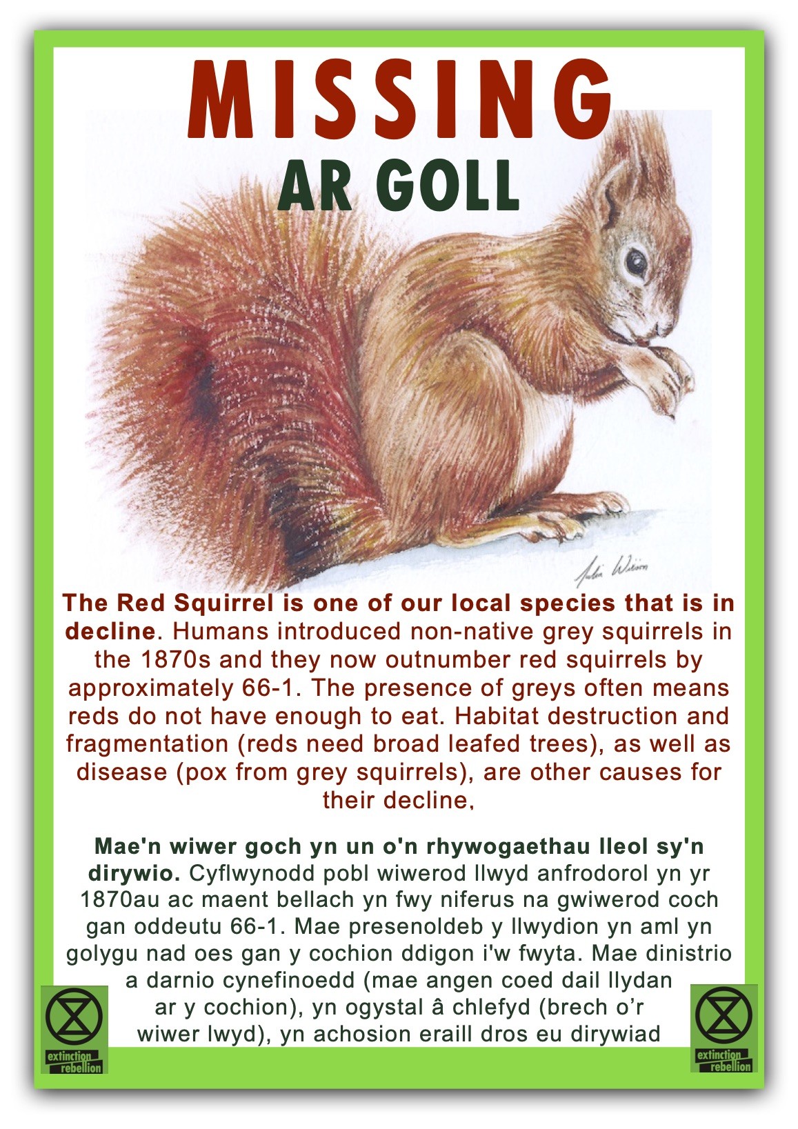 Missing--Red-Squrrel-bi-lingual-jpeg.jpg