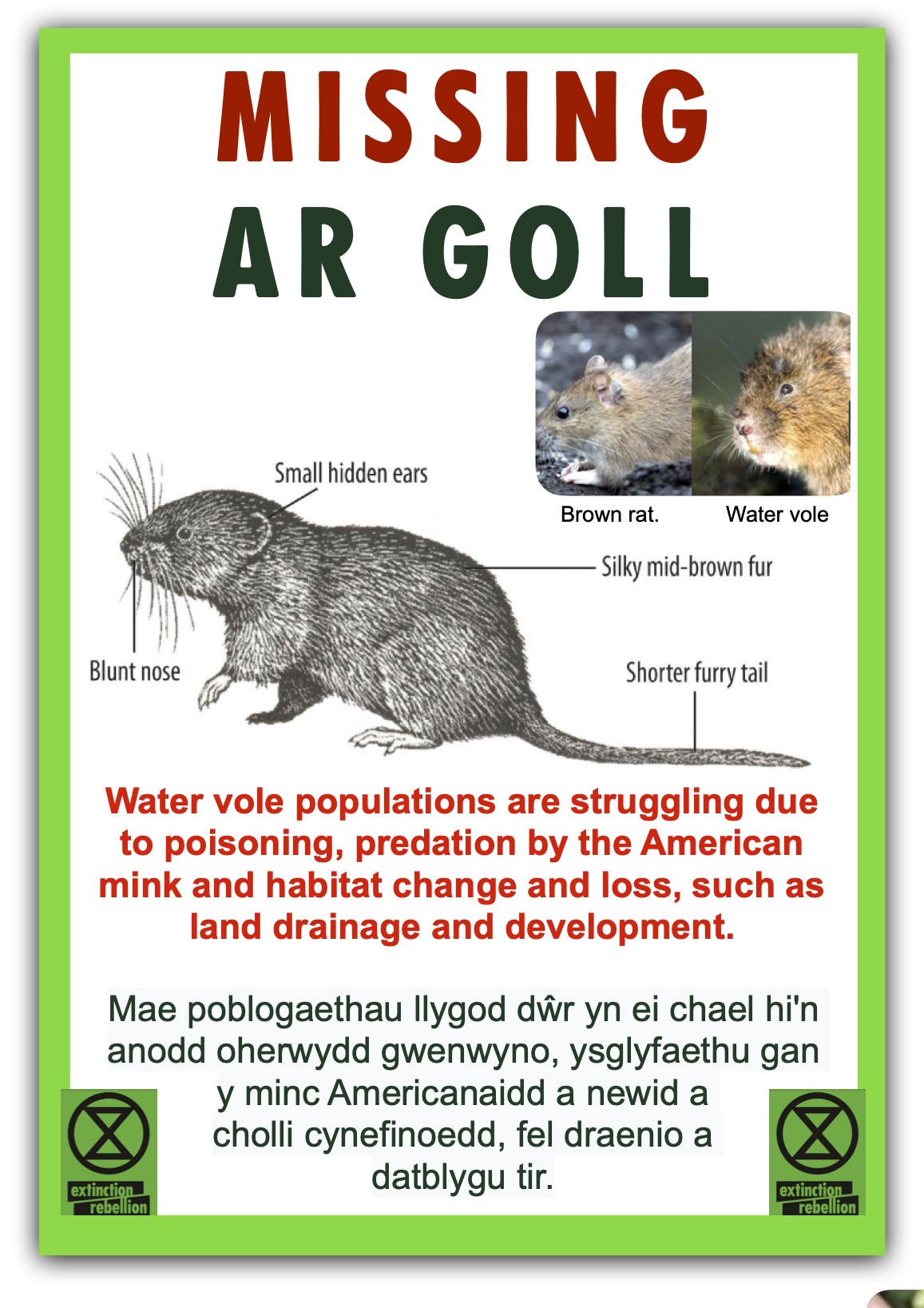 Water-vole-poster-bi-lingual-jpeg.jpg