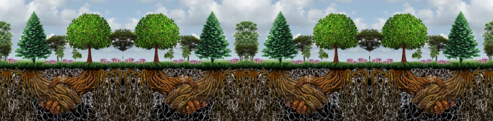 Tree and Mushroom Roots Graphic.png