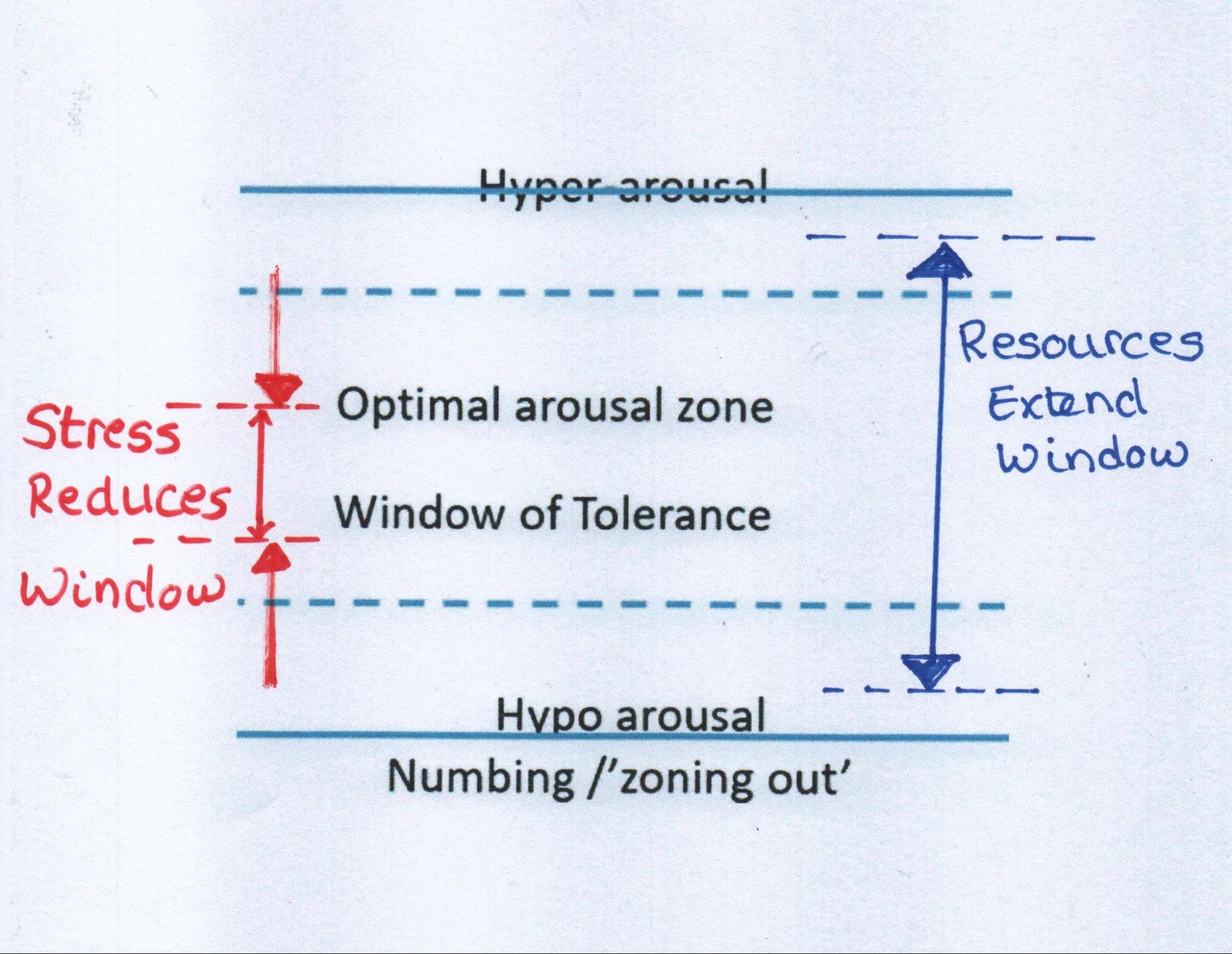 diagram: Window of Tolerance