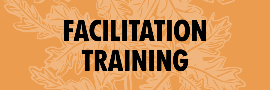 facilitaiton training