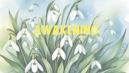 Trilogy Rebel Toolkit(3).png