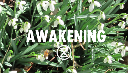 Trilogy Rebel Toolkit(6).png